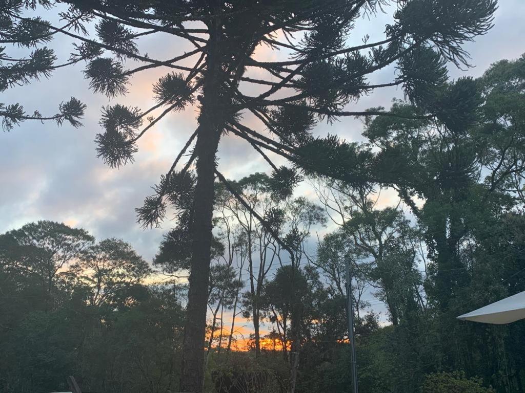 Casa De Campo Em Gramado Dış mekan fotoğraf